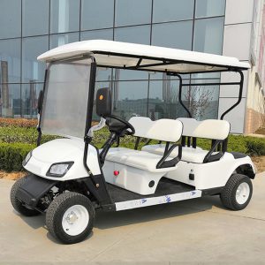 DAQI EVCG017 4-seater