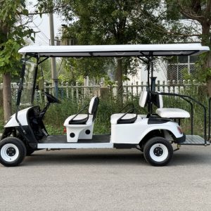 DAQI EVCG009 6-seater