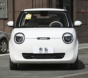 CHANGAN 2024 Lumin Qingyue model