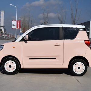 BAW YUANBAO 2023 heartbeat edition