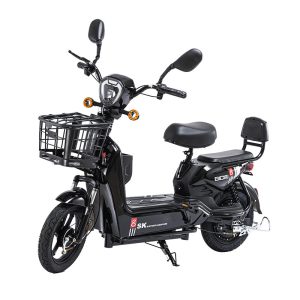 Golden Eagle National Standard Electric Vehicle Two-wheeled Adult 48V Electric Bicycle Double Big Electric Motorcycle Battery Vehicle