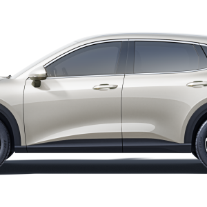 WULING BAOJUN others