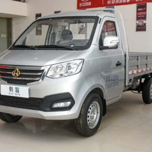 CHANGAN XINBAO T3