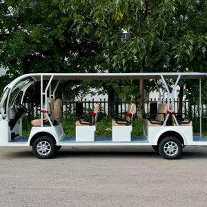 DAQI EVCG011 14-seater