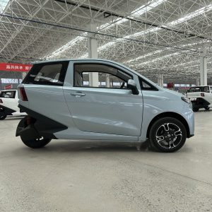 Electric tricycle reverse three-wheel lithium battery 3-wheel direct sales